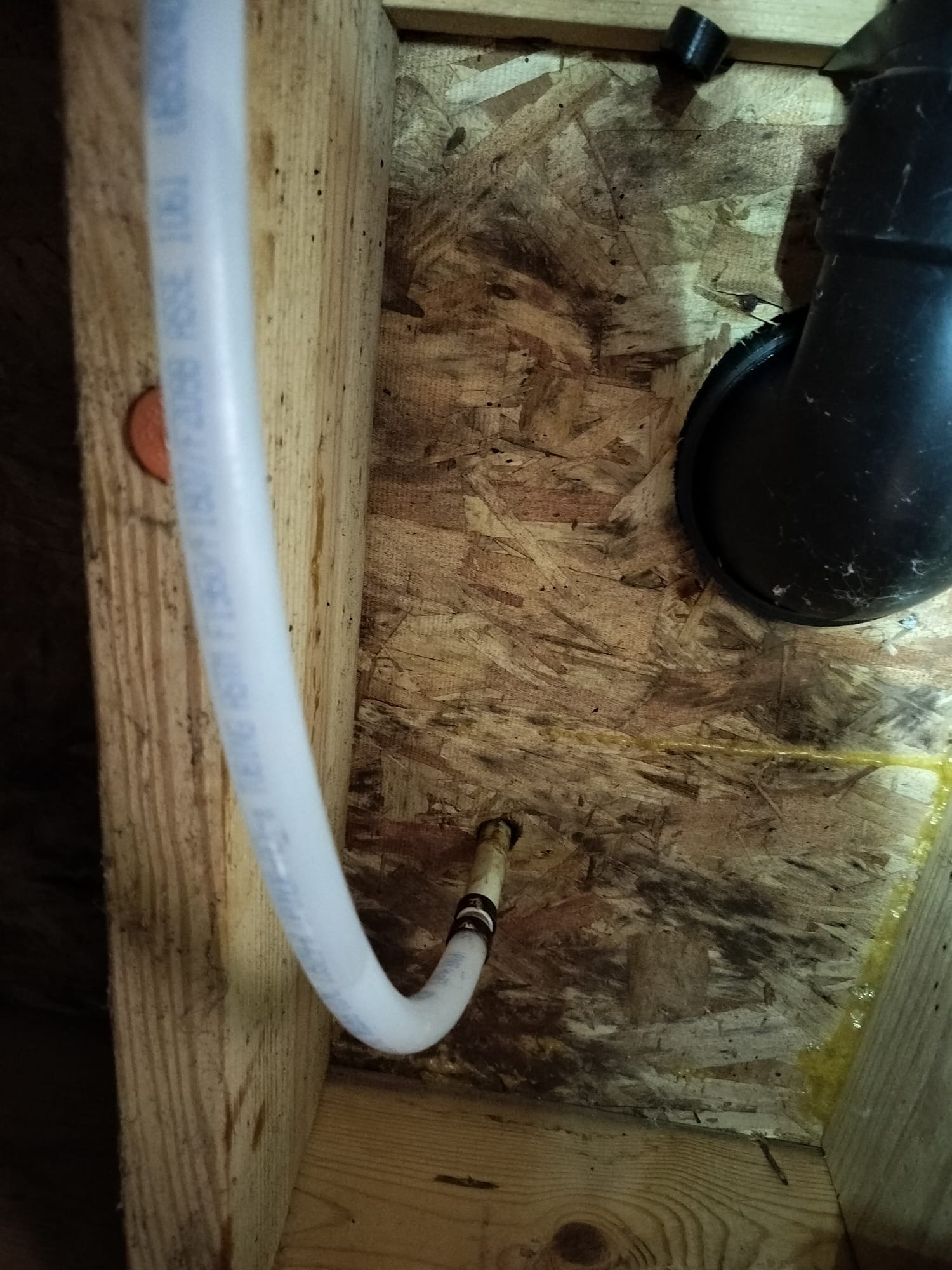 Newly installed piping: A section of plumbing work now features a white PEX pipe securely connected to a fitting, showcasing a neat and professional installation.
