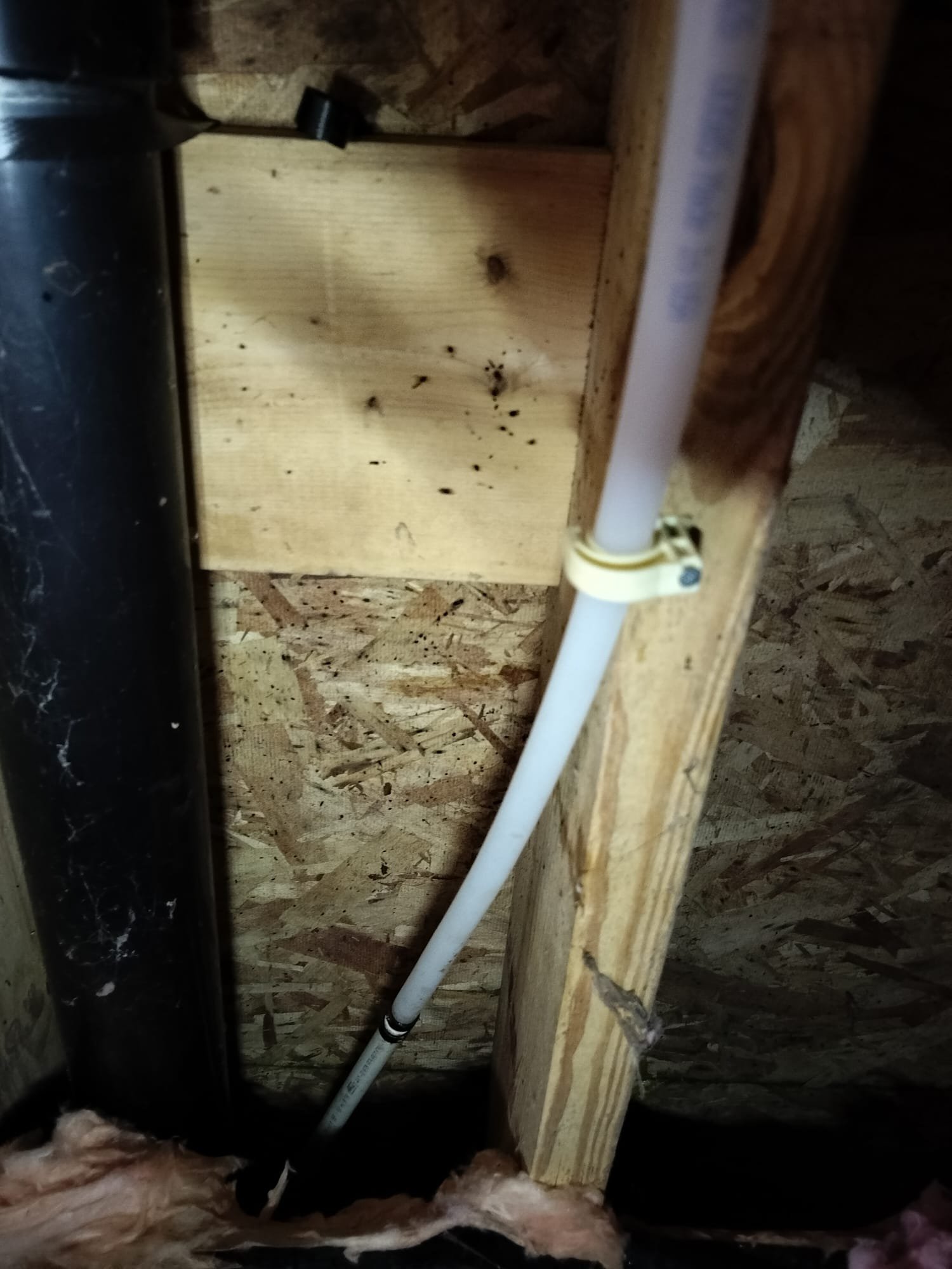 Completed plumbing installation: In a well-organized basement area, the secured pipes reflect the care taken during the repair process.