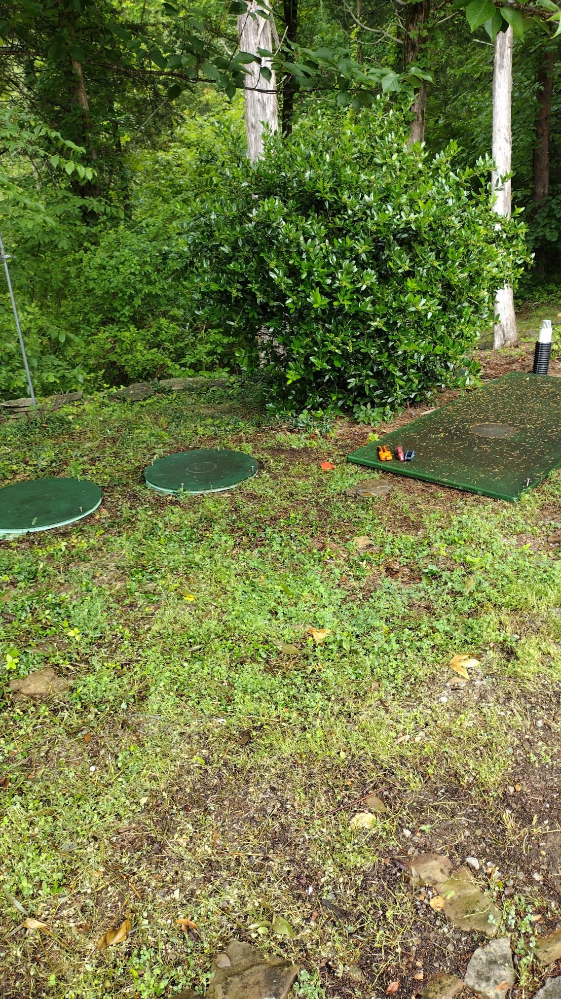 Grassy area with three septic tank covers in a well-maintained setting