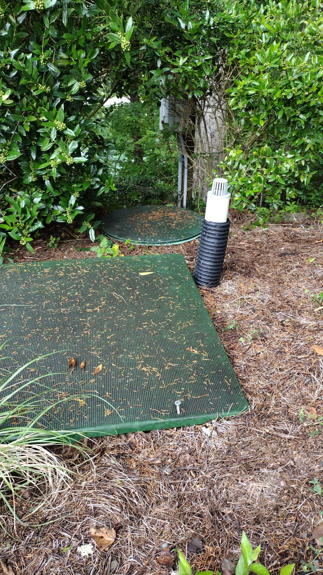 Septic system area with well-maintained green covers and a clean setup