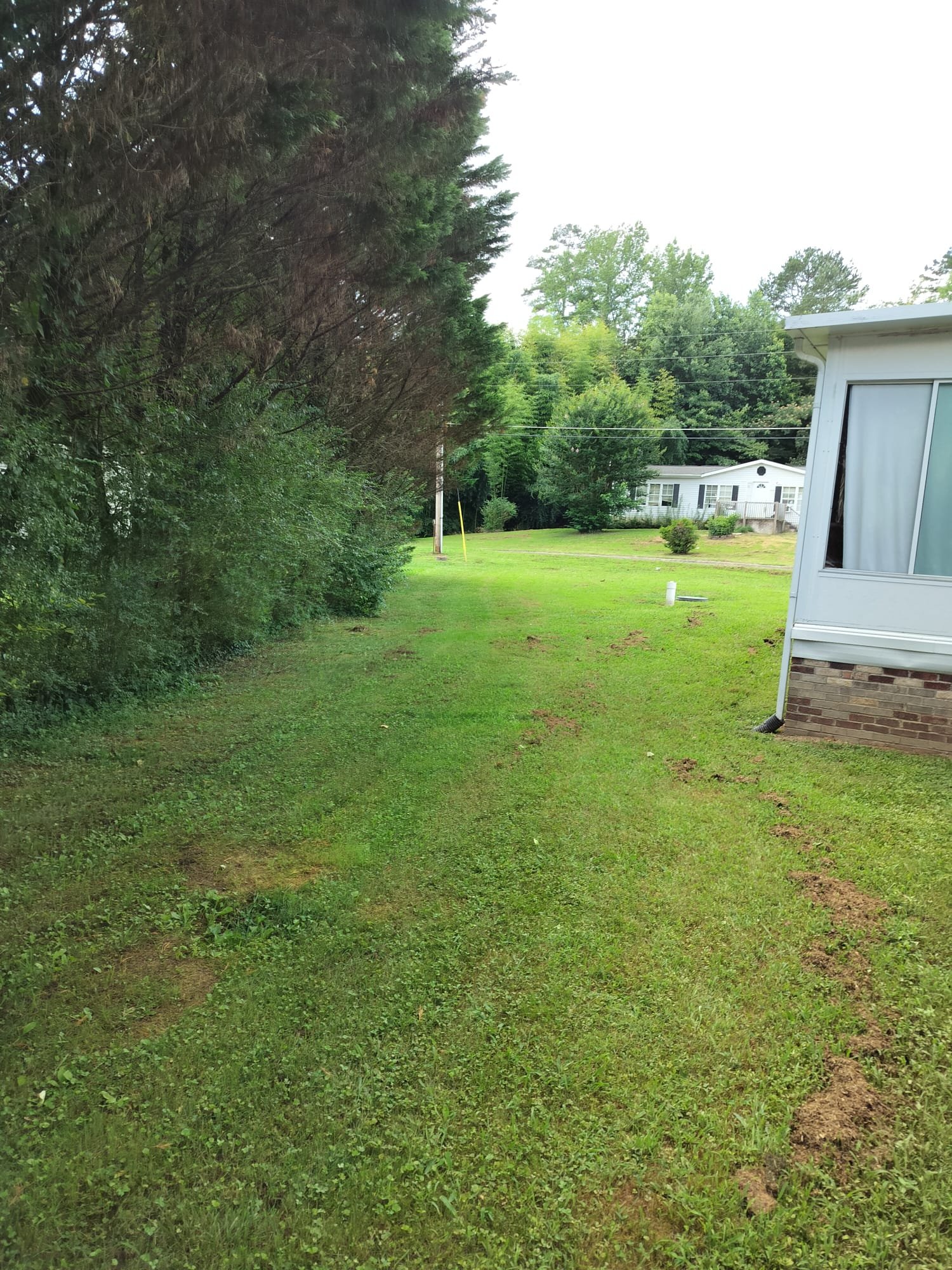 Newly installed water line pipe visible, ensuring durable service