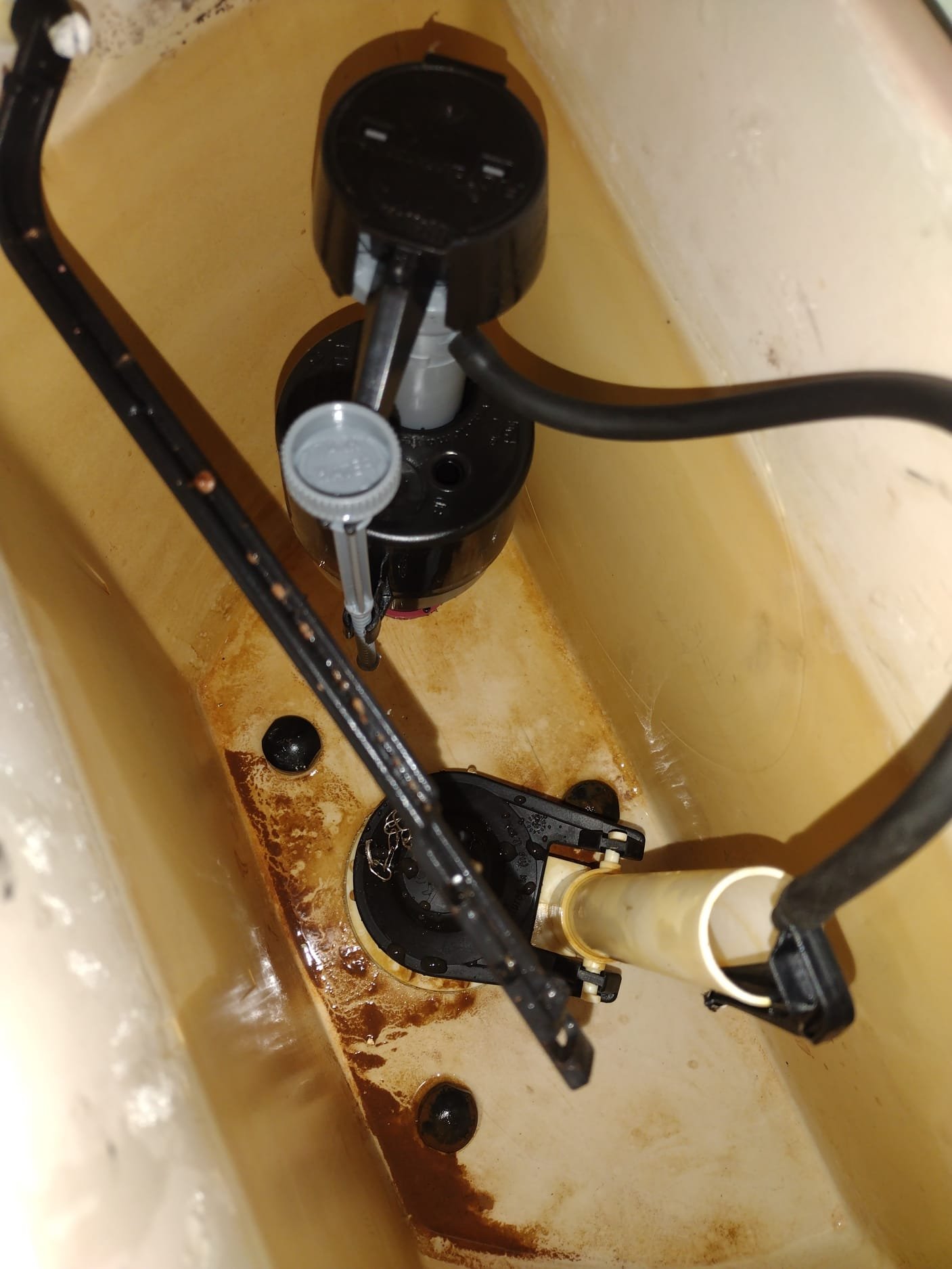 Clean toilet tank interior with new fill and flush components