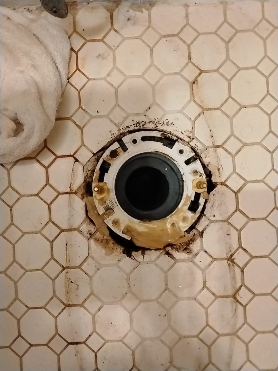 New toilet flange and wax ring installed