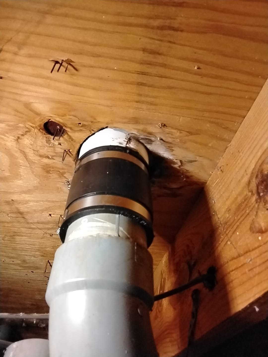 Flexible coupling joining PVC pipes after repair