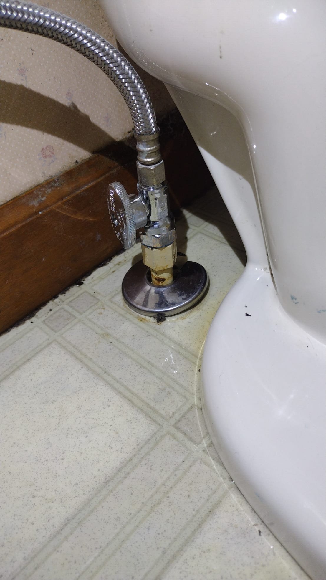 Braided supply line and shut-off valve at the base of a toilet