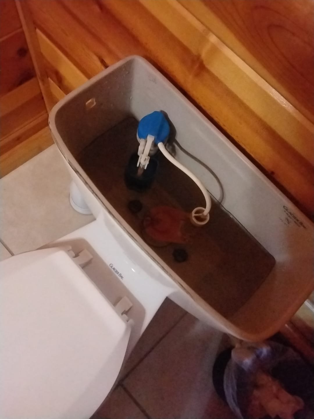 Inside view of a toilet tank with new fill valve and flush mechanism.