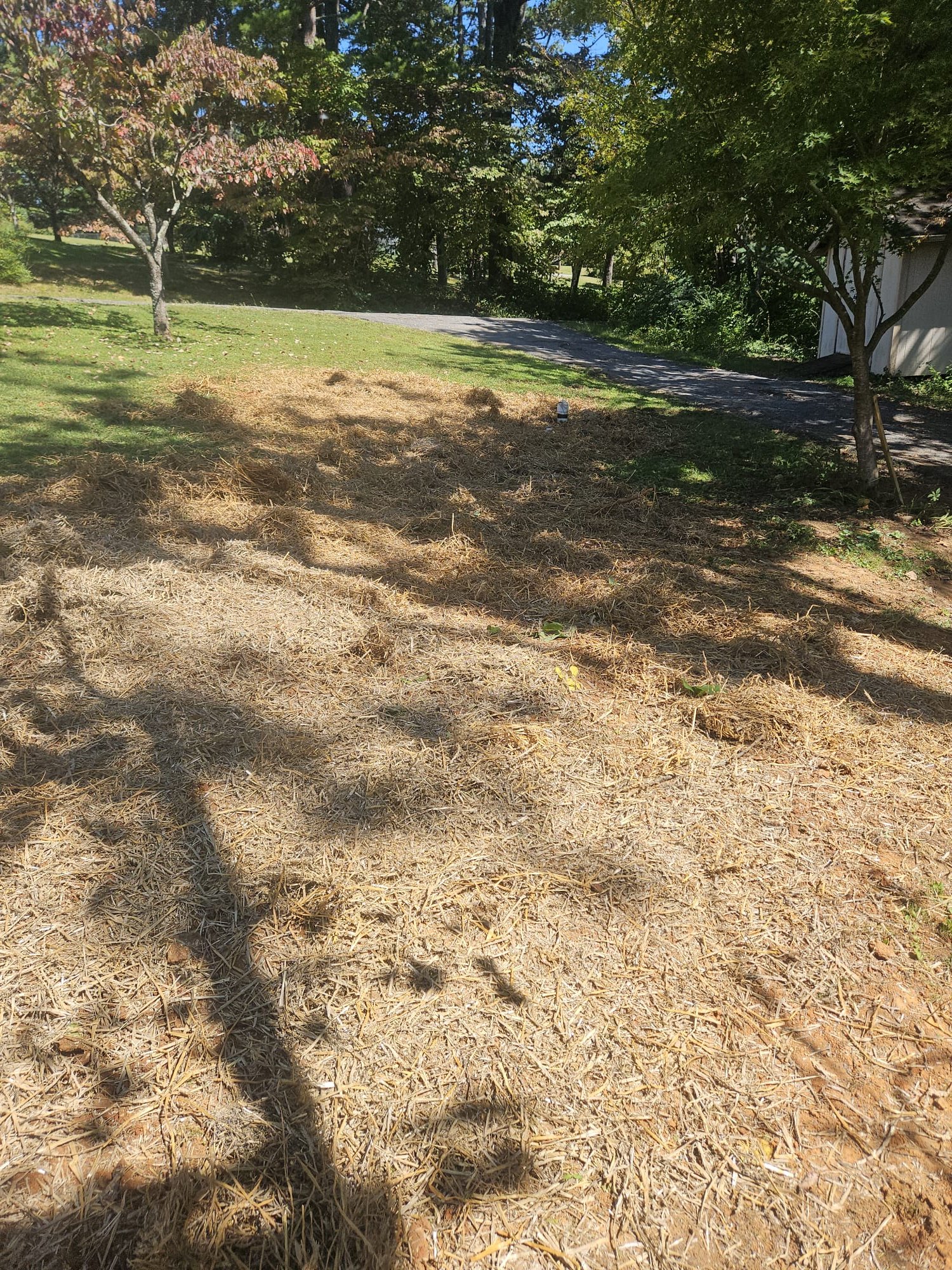 Cleanout and Straw Covering