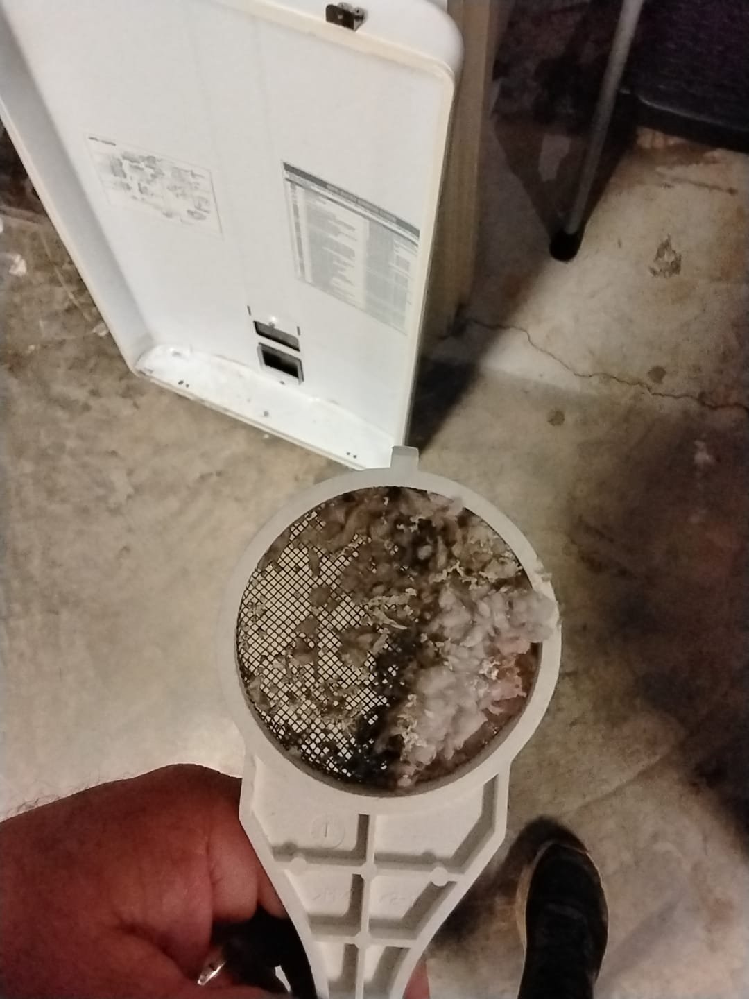 Clogged inlet filter needing a good clean