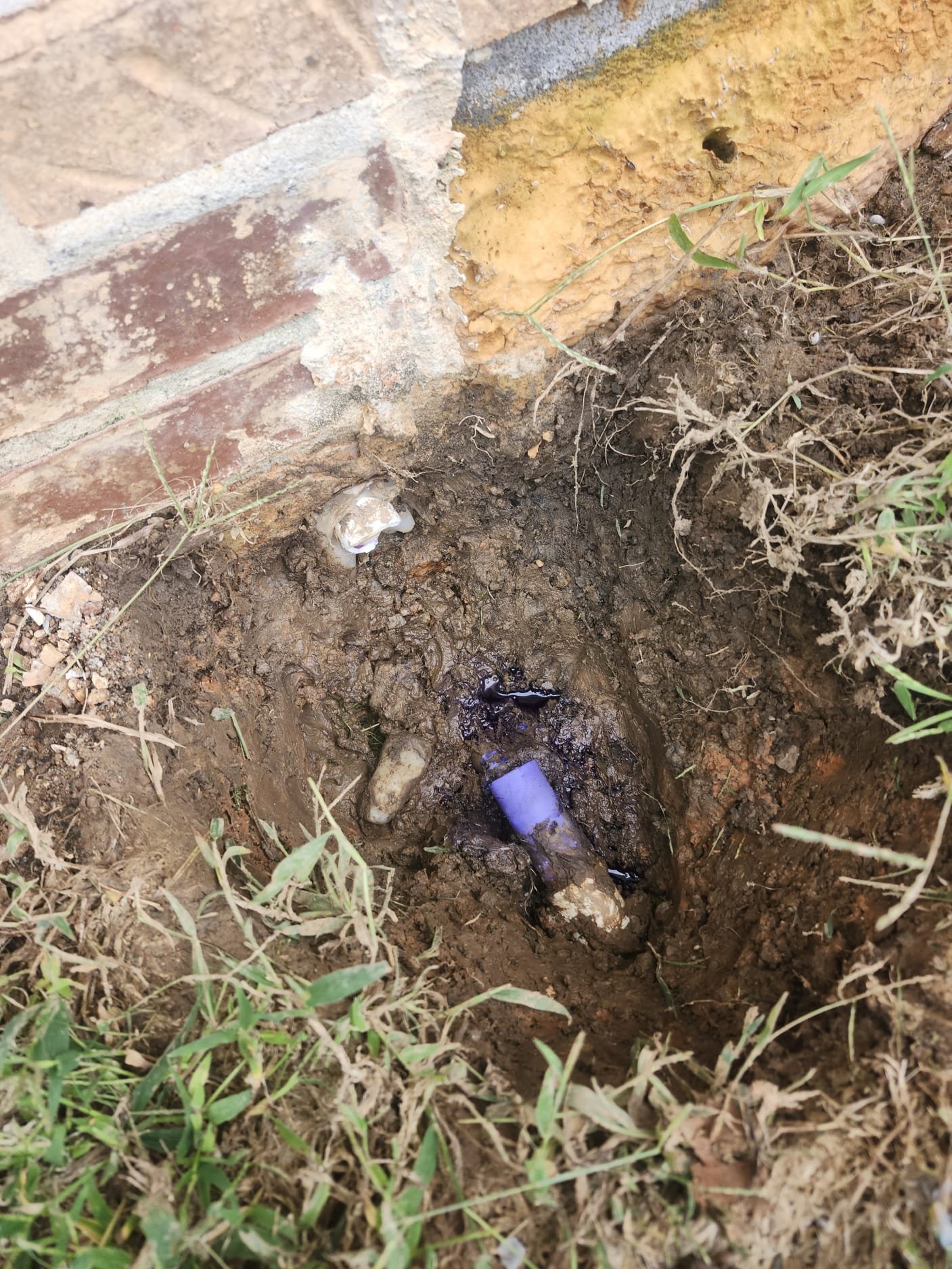 Before Repair: Exposed PVC water line with wet soil