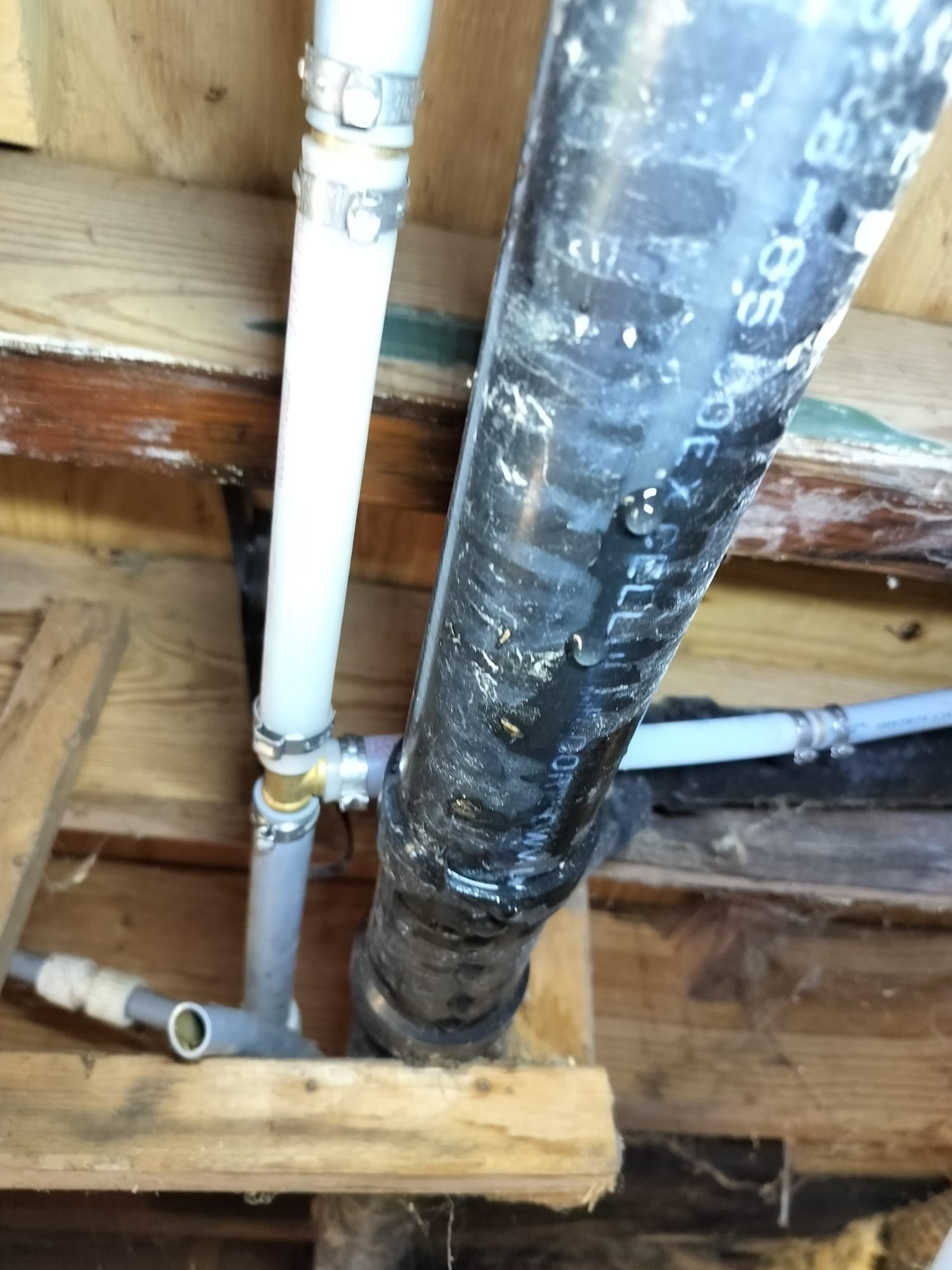 New PEX and ABS pipes joined below a floor