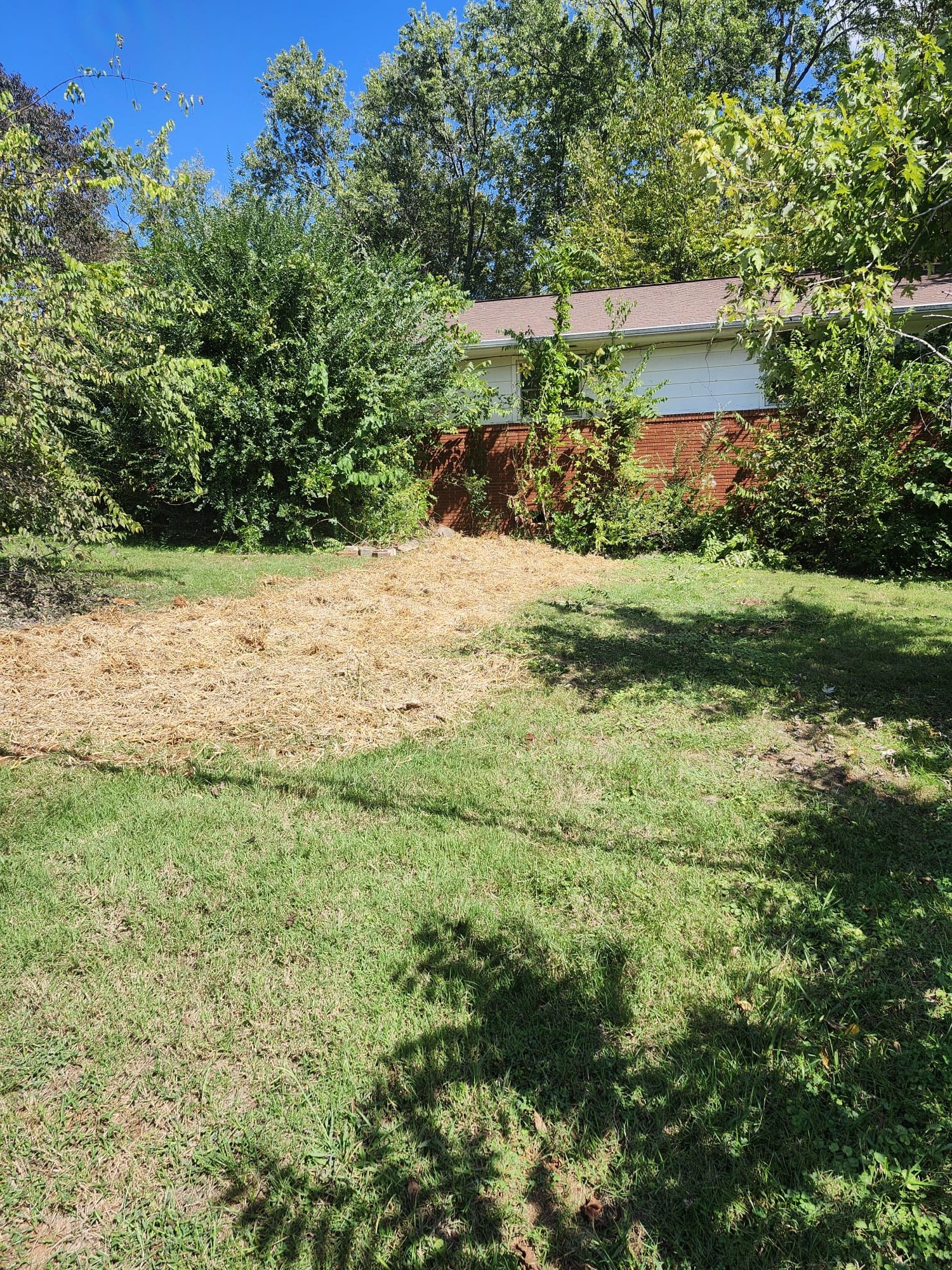 Freshly restored yard with straw and soil
