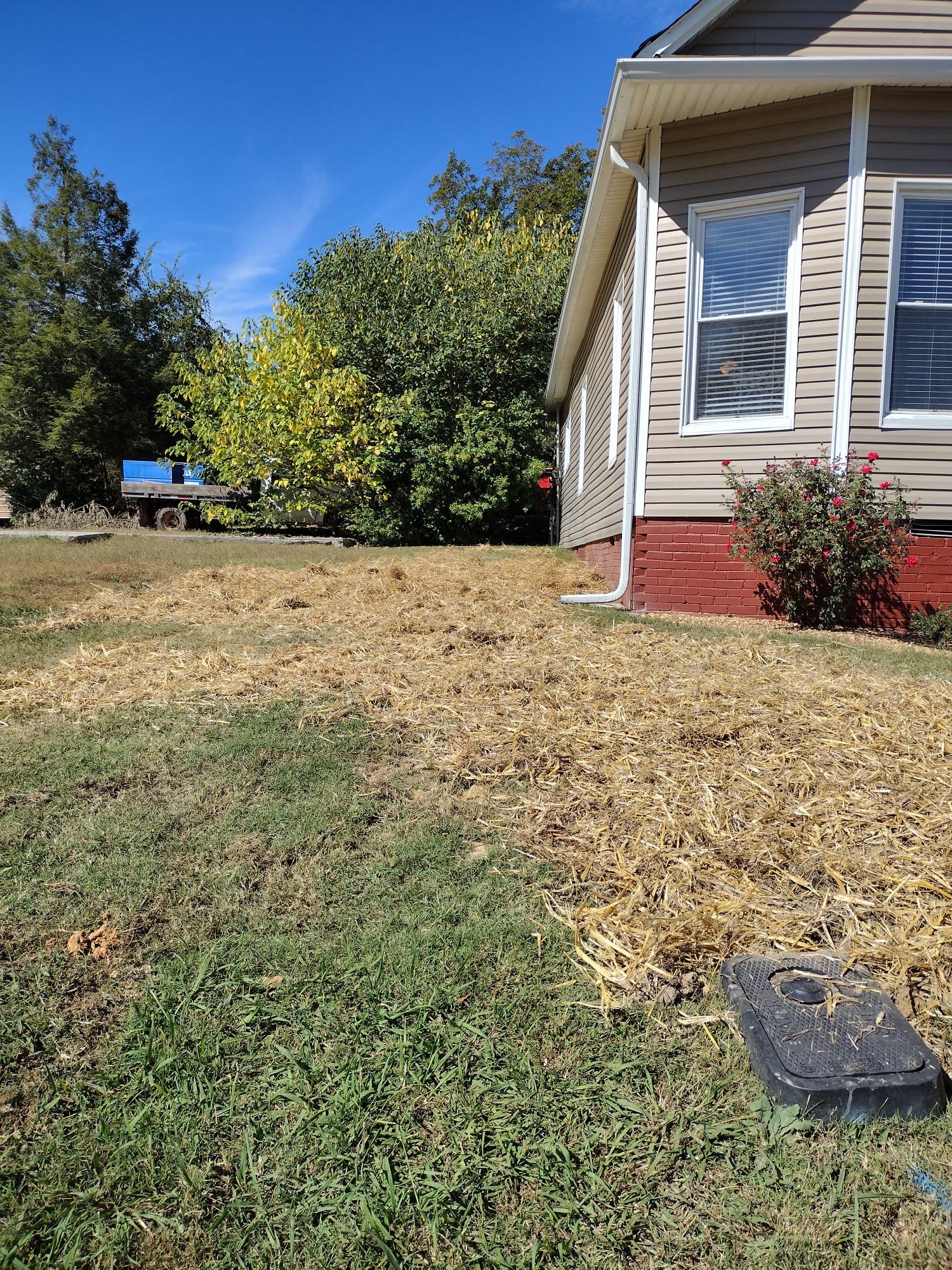 Yard after water line repair, ground covered with straw and utility box visible