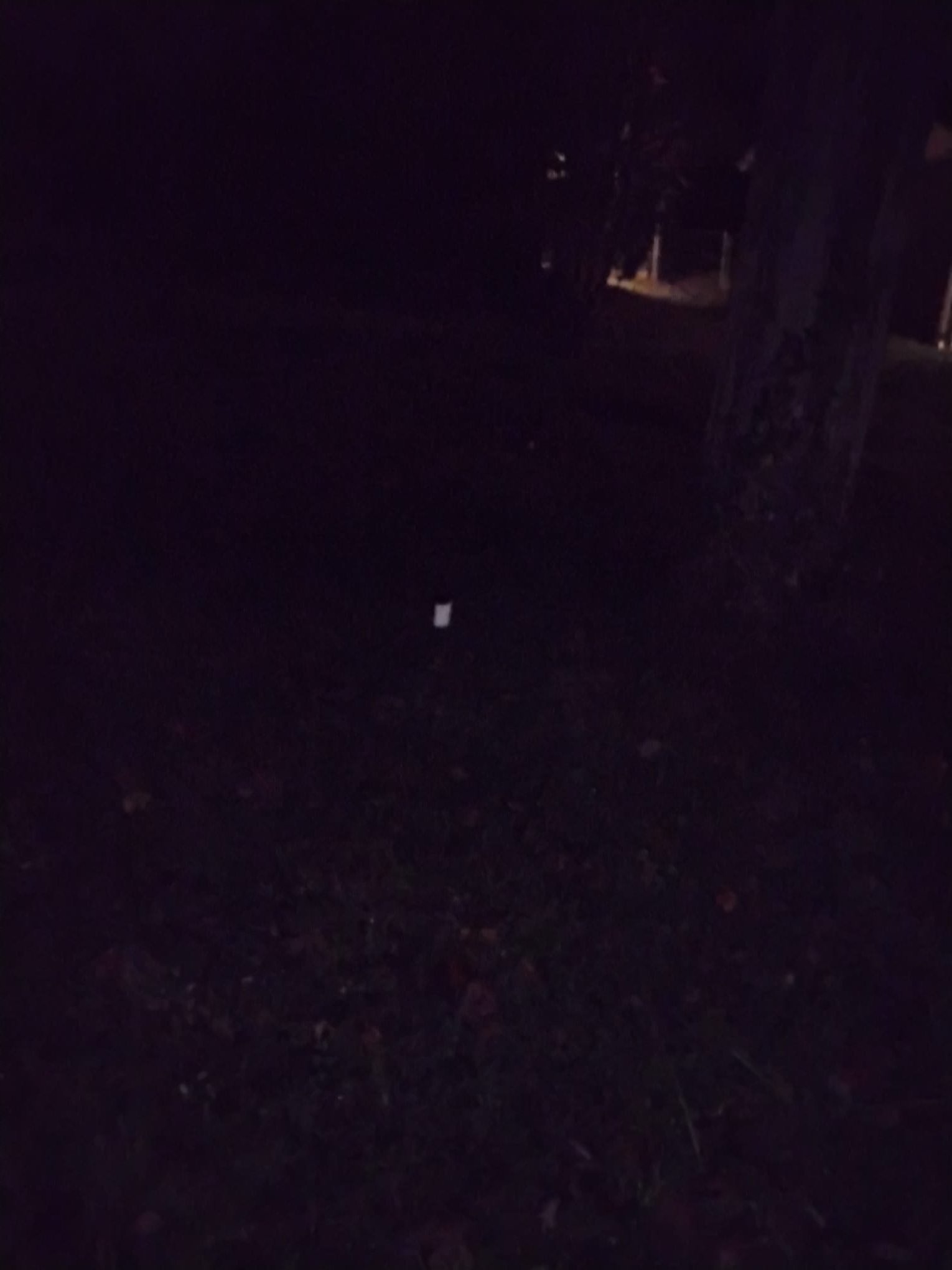 Outdoor cleanout at night should be well-lit and clearly marked