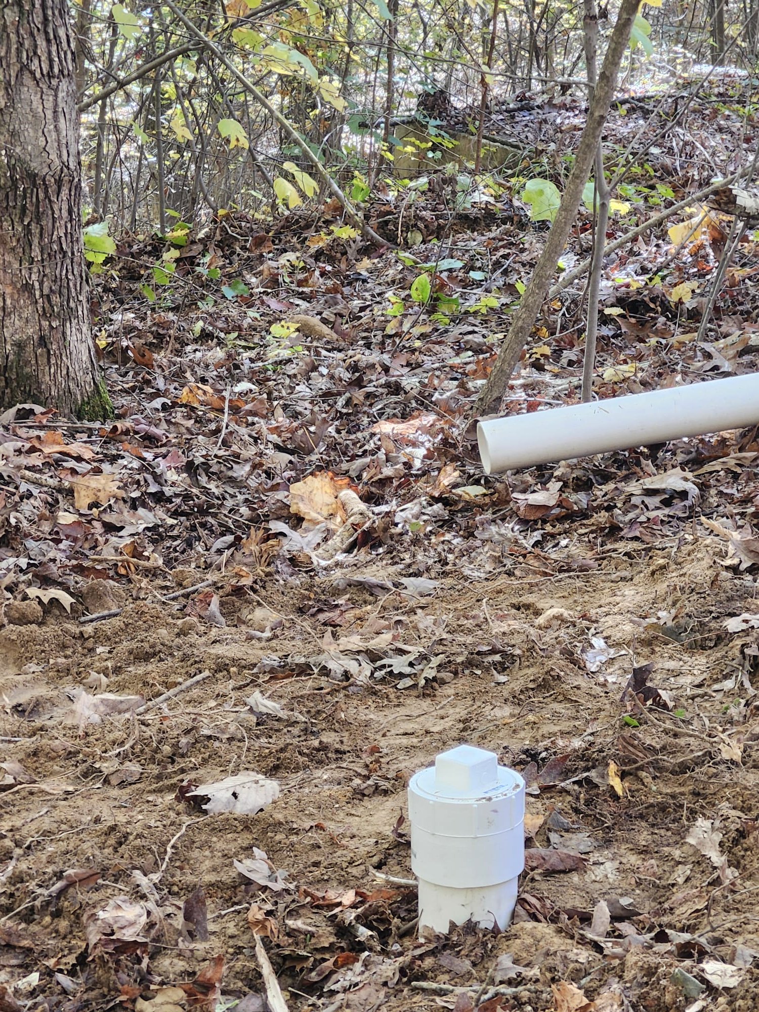 New Cleanout Installation