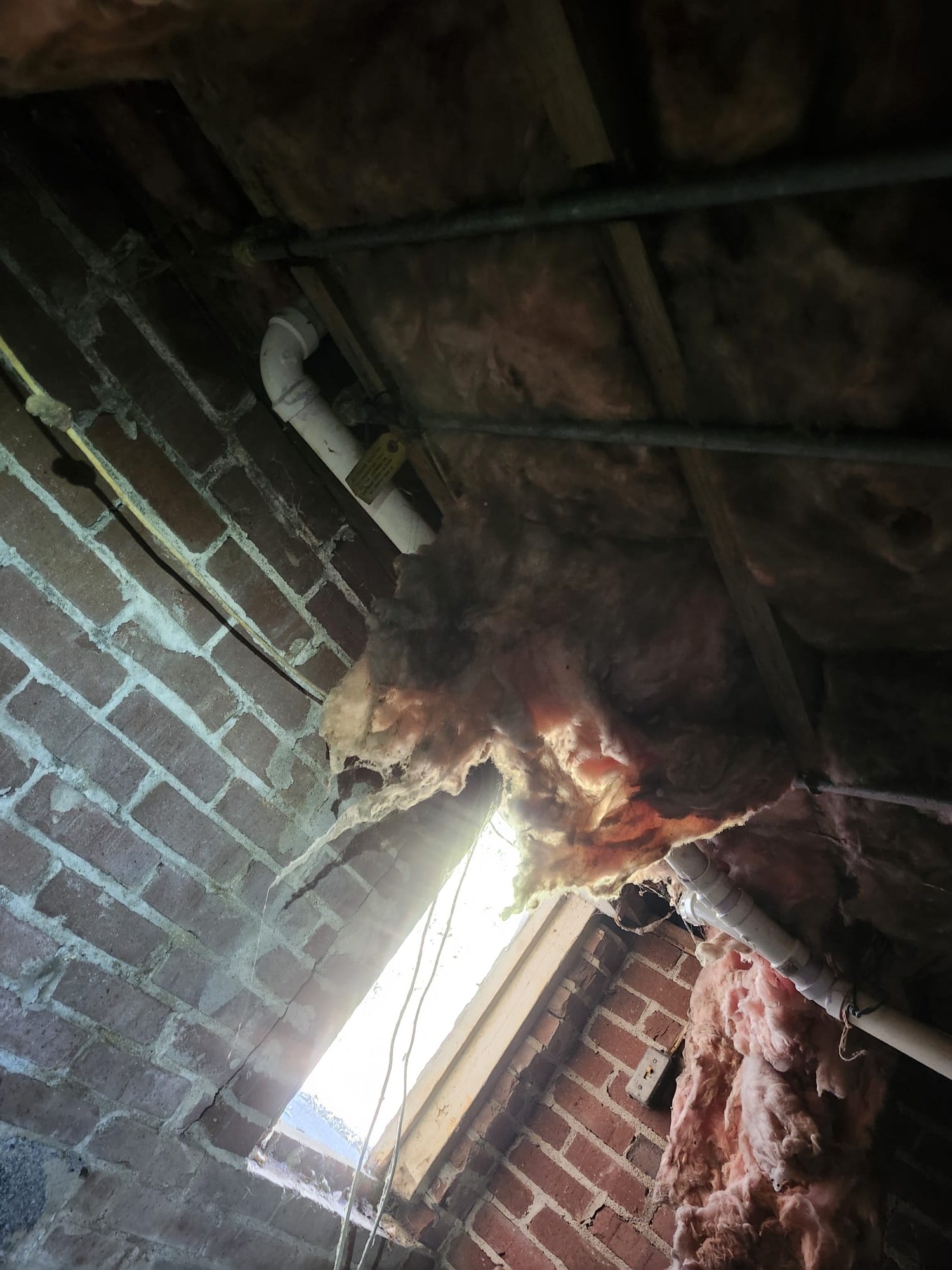 Freshly installed PVC line in the crawl space.