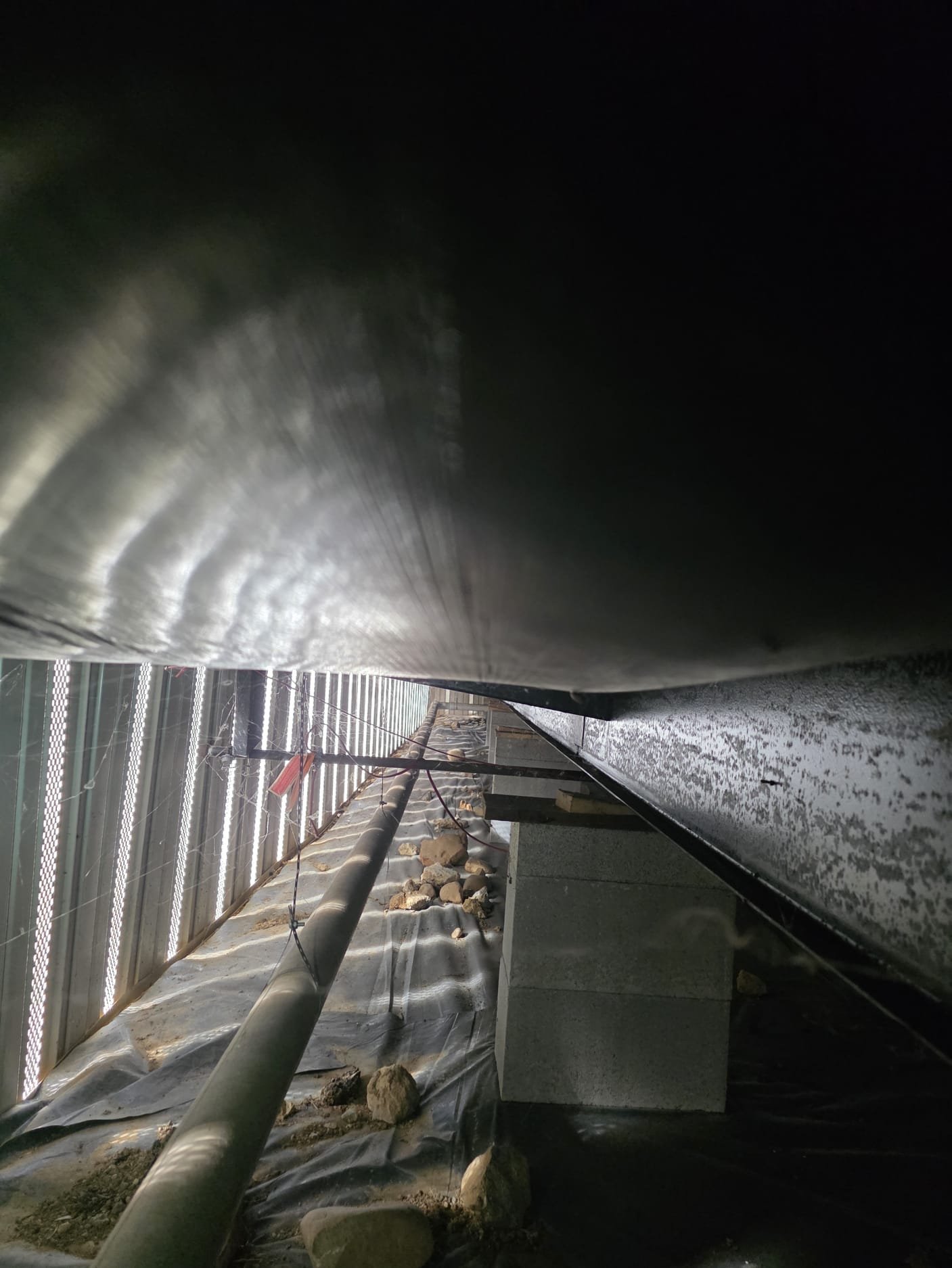 Essential Plumbing Tips for Homeowners: A Soddy-Daisy Success Story