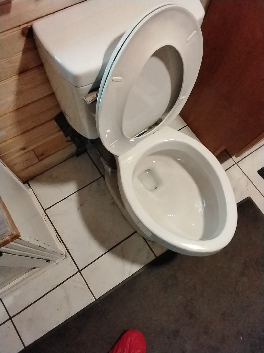 Standard white toilet in a clean bathroom