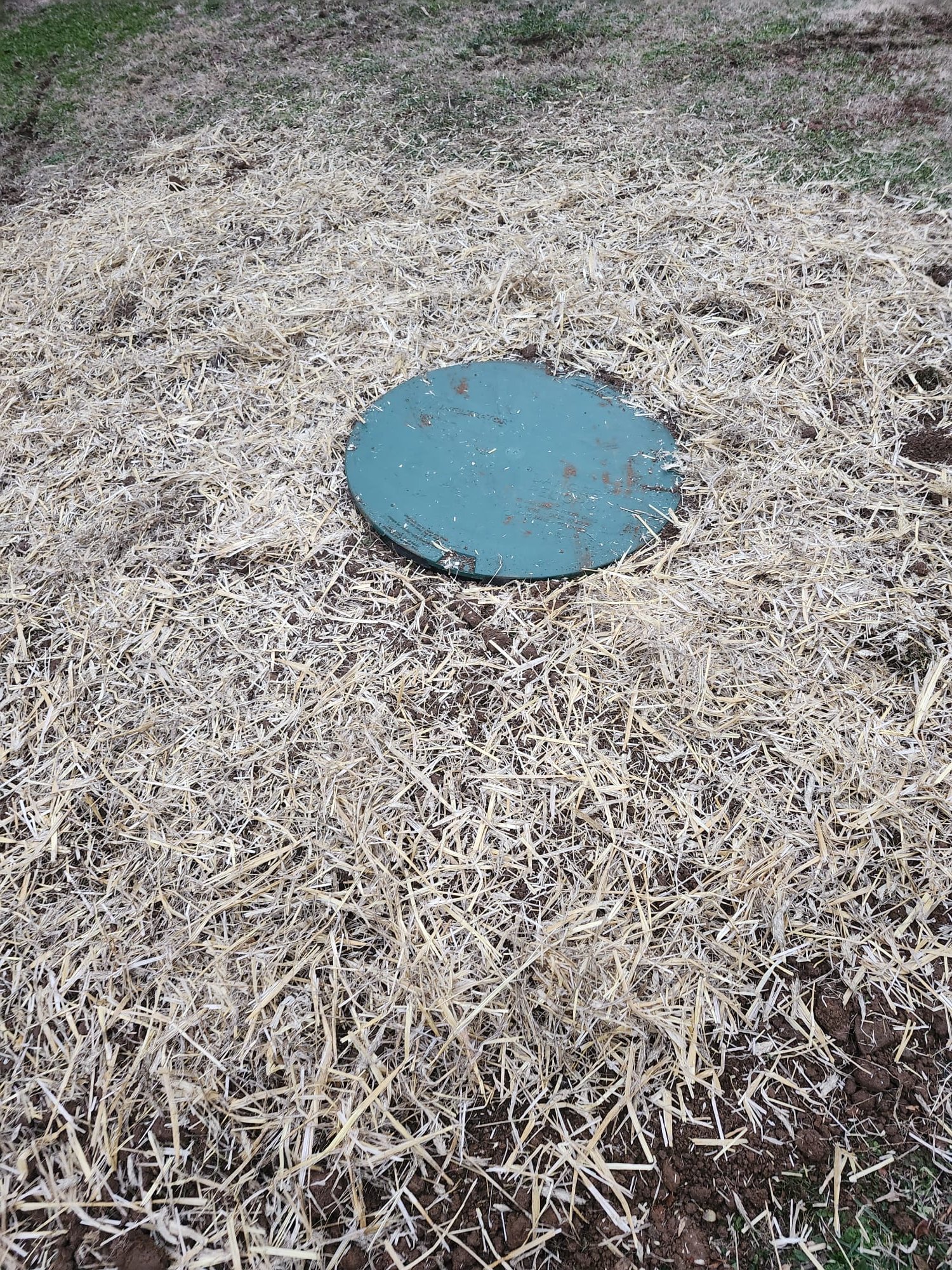 Green septic tank access cover newly installed and surrounded by protective straw.