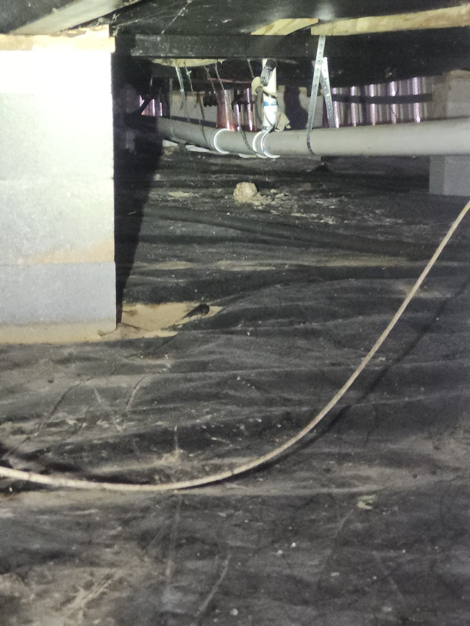 Preventing Main Line Backups: Tips from a HEP Technician in Clinton