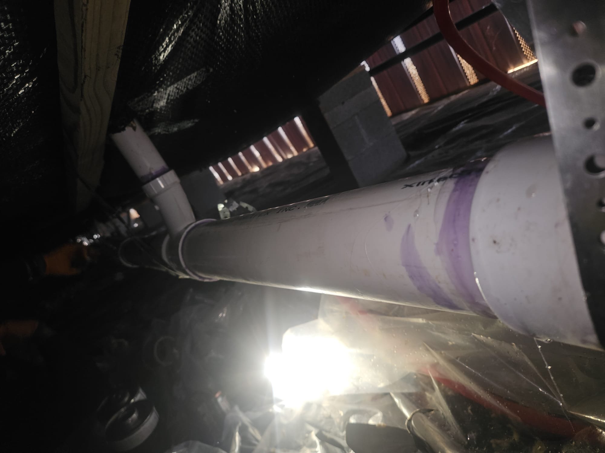 PVC pipe joint showing purple primer and fresh cement.