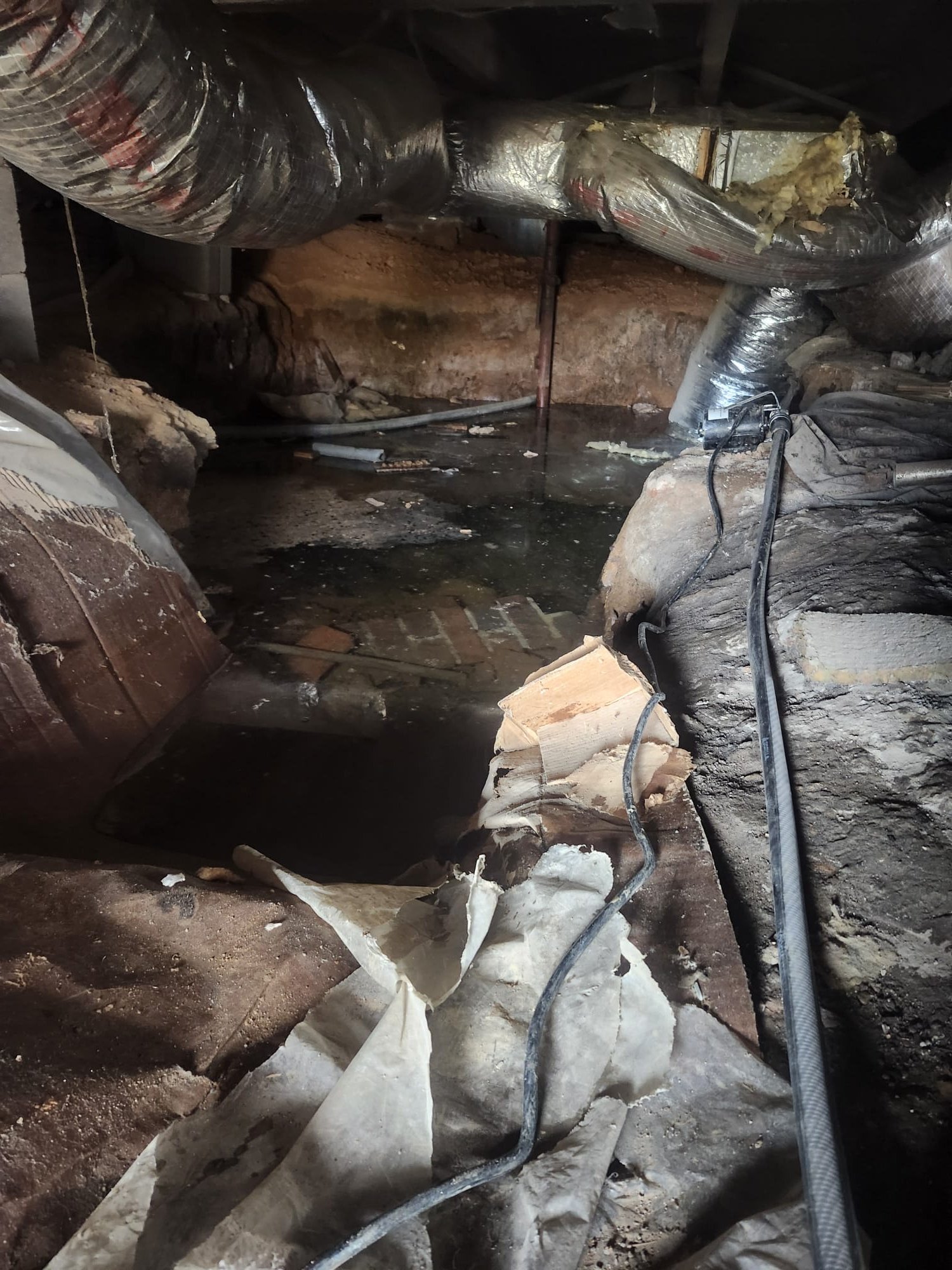 Standing water in a crawl space indicating a plumbing leak.