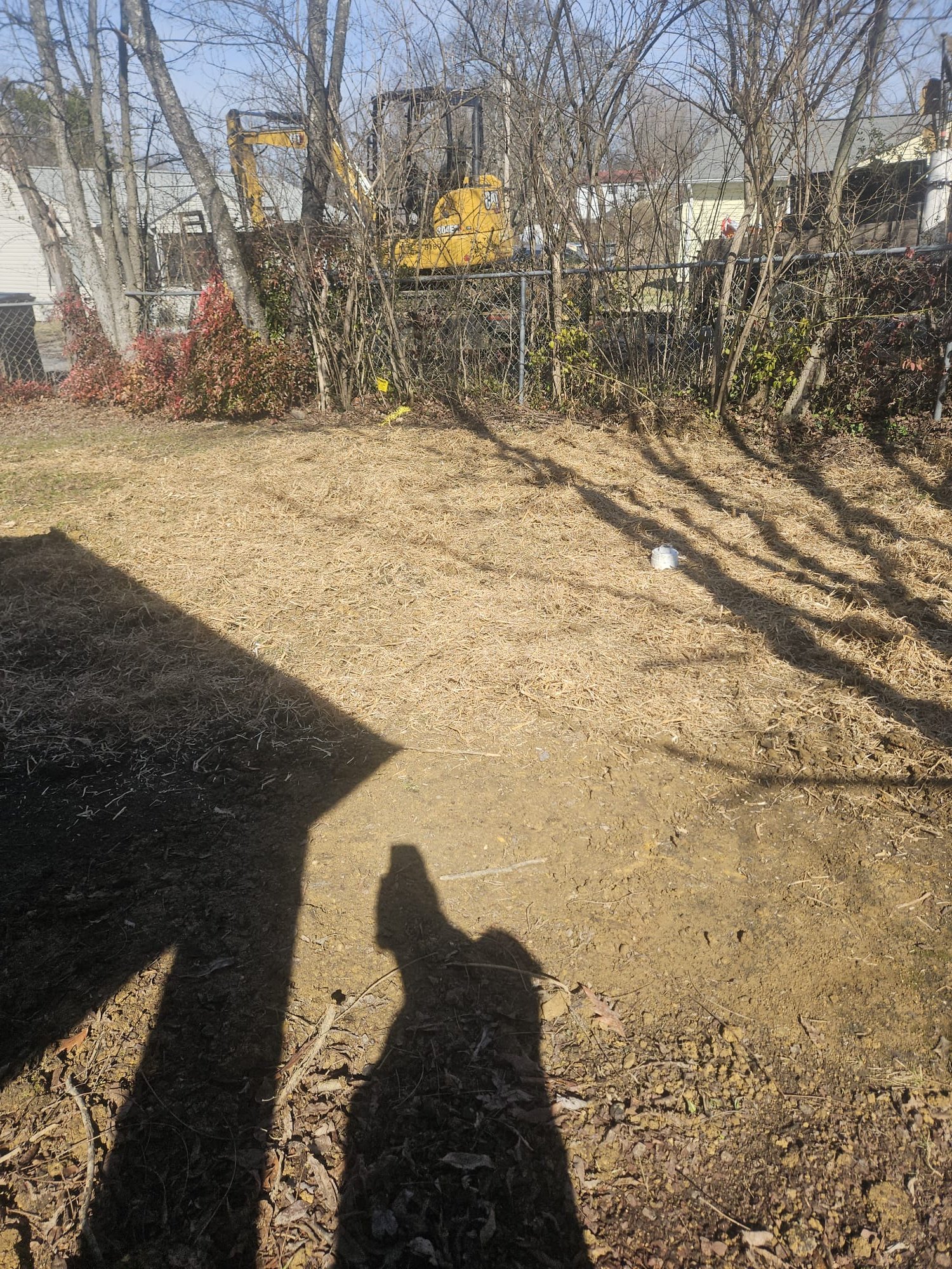 Completed yard restoration with new cleanout cap