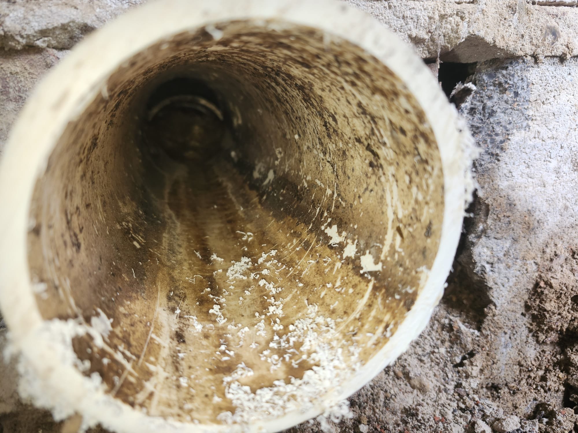 Preventing Basement Sewage Backups: Tips from HEP Technicians in Chattanooga