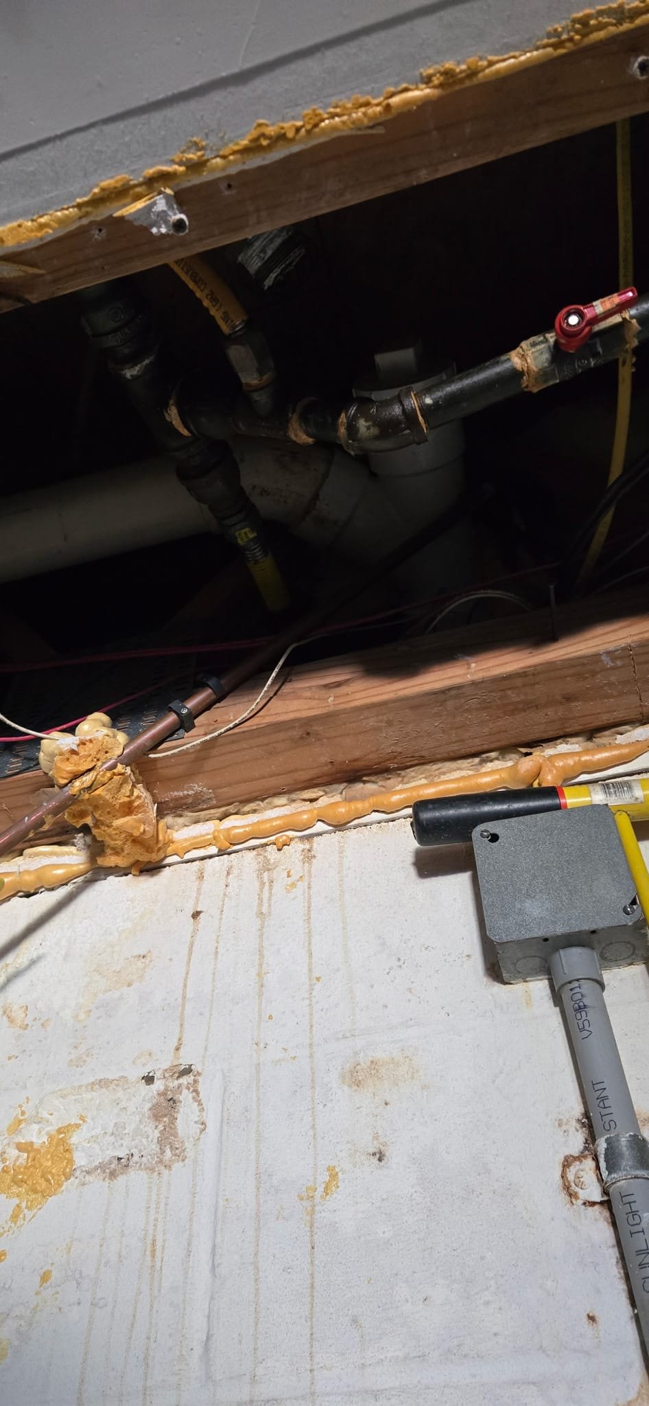 How to Stop Sewer Odors: Simple P-Trap Maintenance Tips for Ooltewah Homeowners