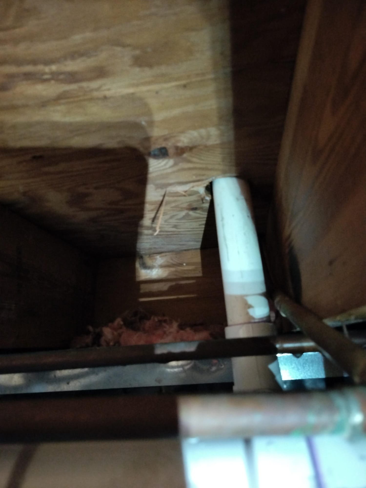 New PVC drain pipe routed through the subfloor into the crawl space