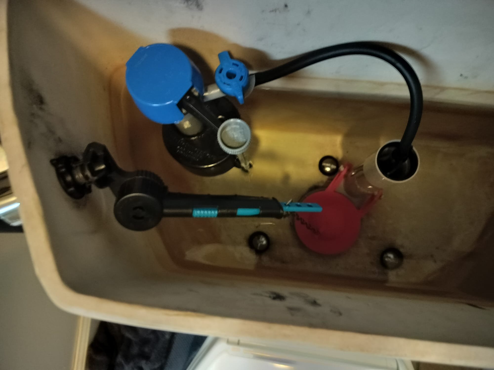 New fill valve and components inside toilet tank