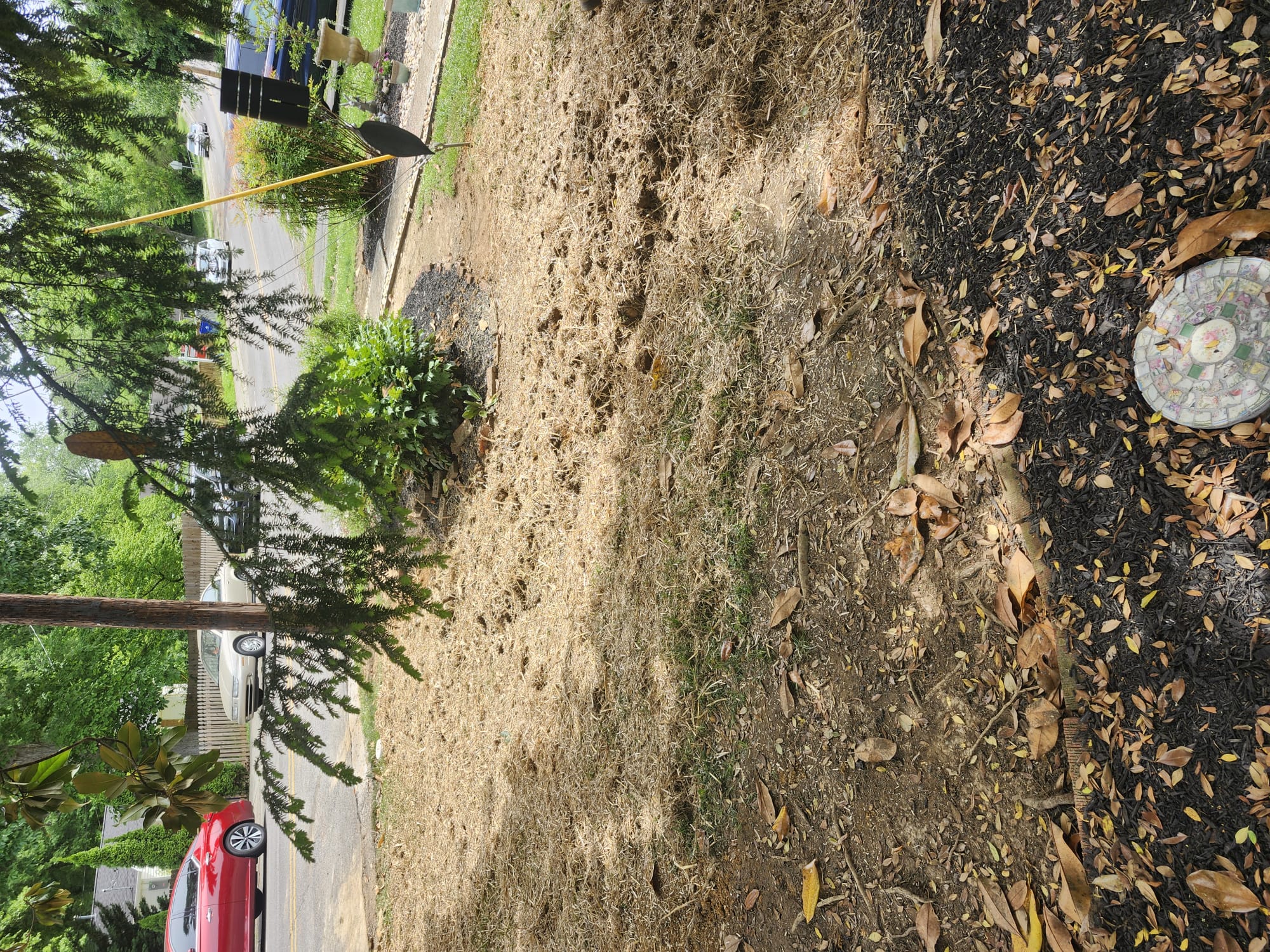Oak Ridge yard covered in straw to protect new grass seed after backfill