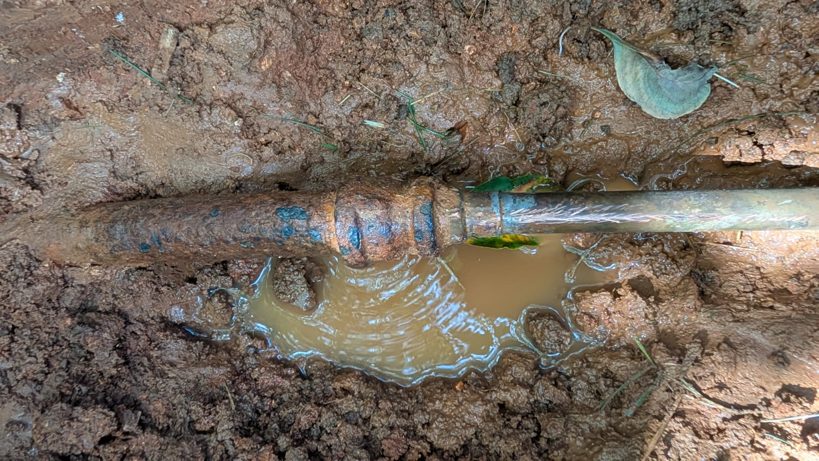 What Chattanooga Homeowners Can Learn From a Yard Water Leak